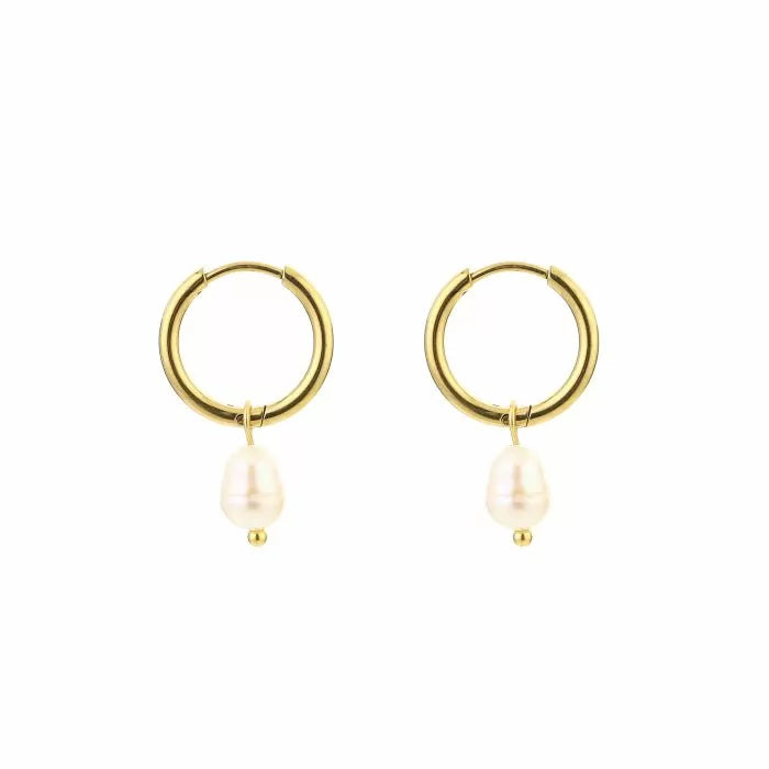 Pearl drop oorbellen - goud