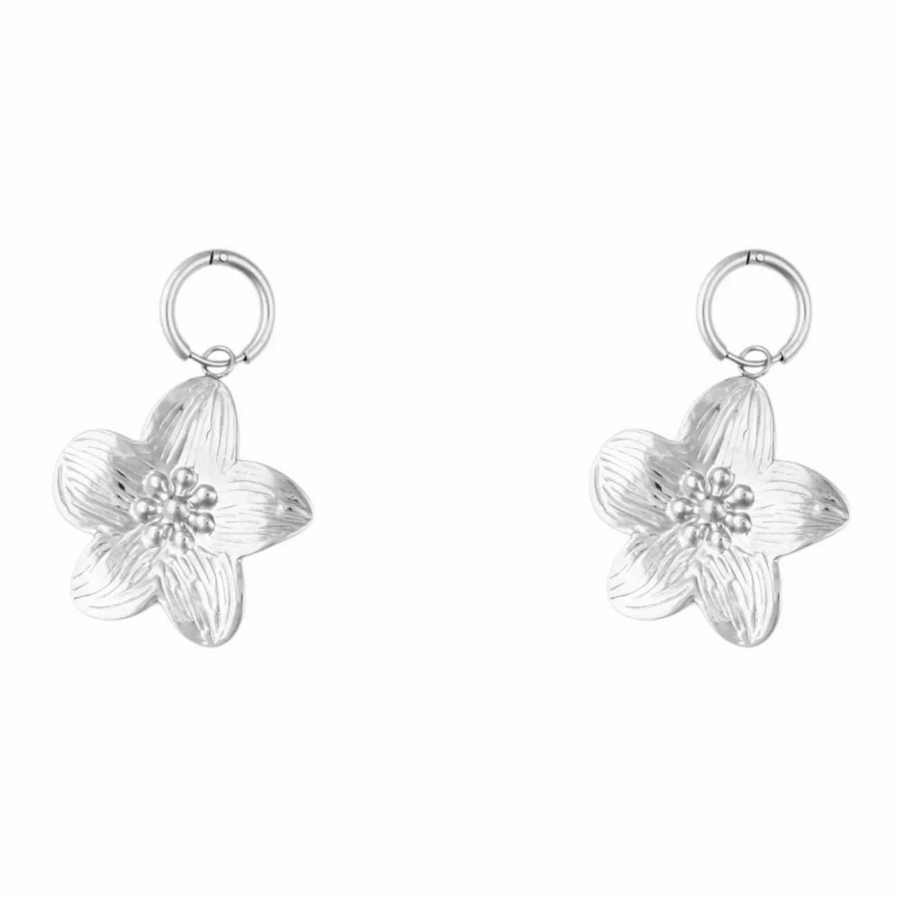 Zara oorbellen - zilver