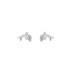Dolphie studs oorbellen