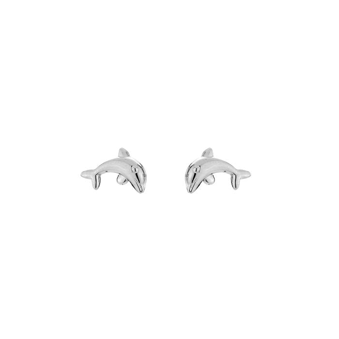 Dolphie studs oorbellen